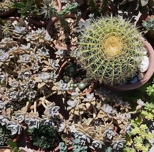 Апартаменты 